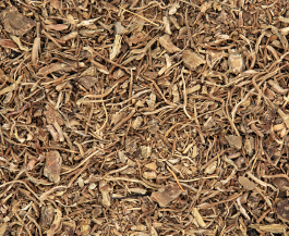 Wildcrafted Black Cohosh